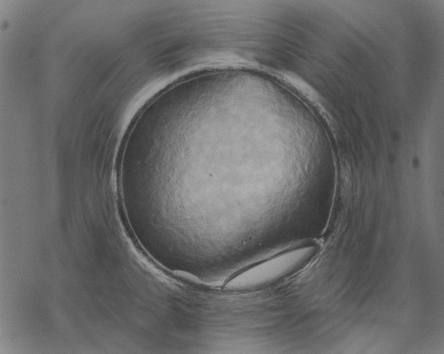 X0000068321335200605051546
