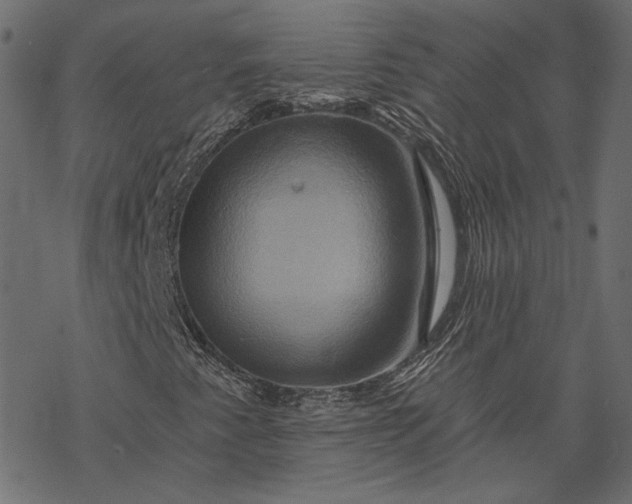 X0000068321345200605051546