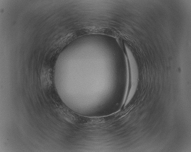 X0000068321346200605051546