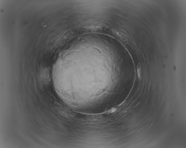 X0000068321347200605051546