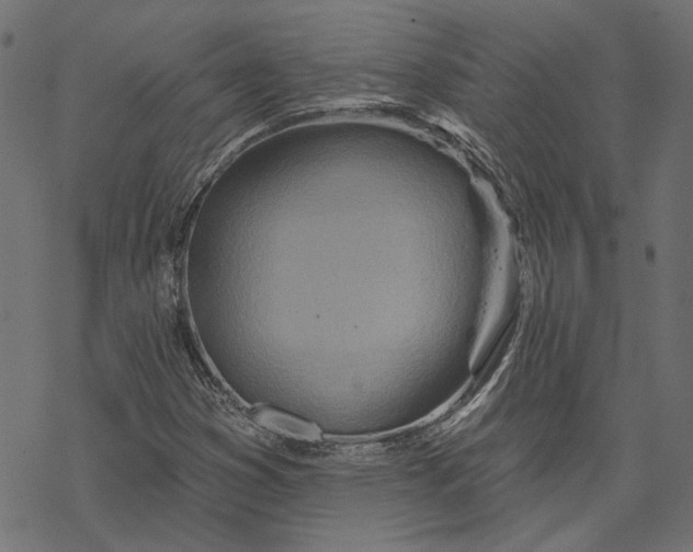X0000068321353200605051546