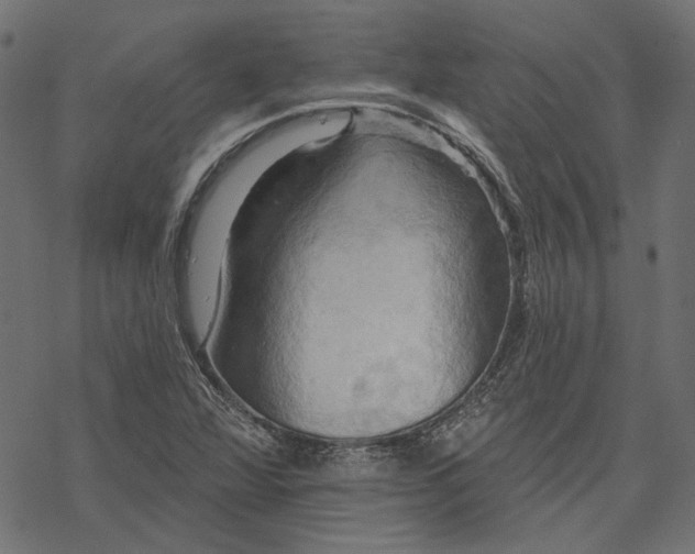 X0000068321360200605051545