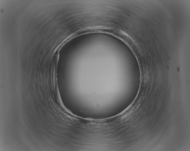 X0000068321361200605051545