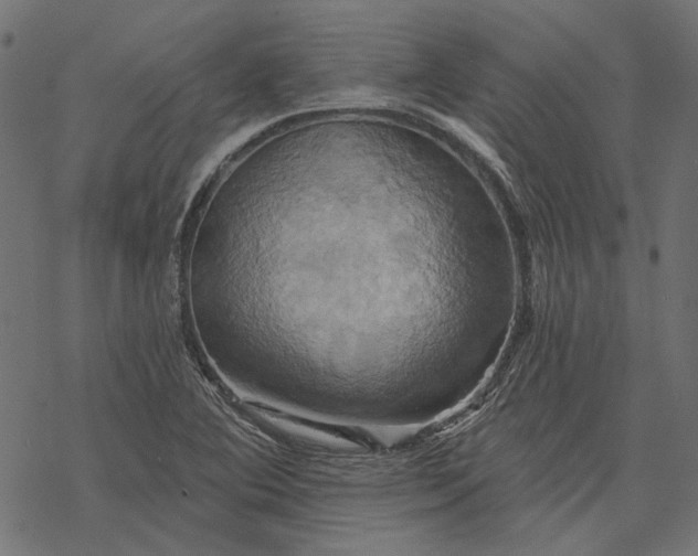 X0000068321364200605051545