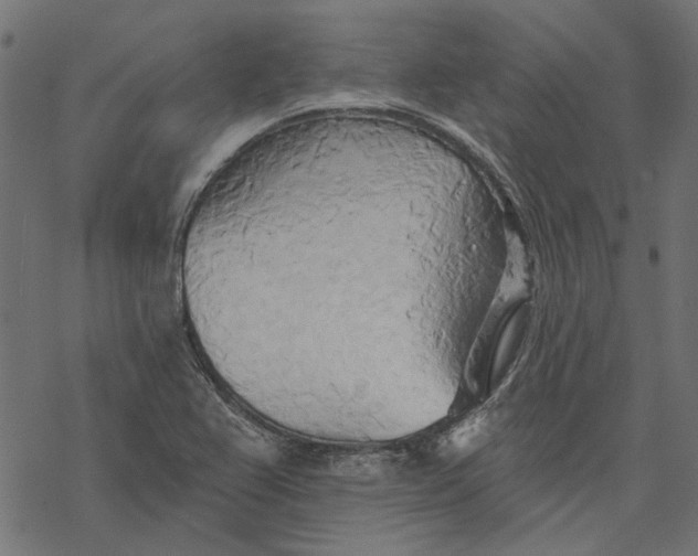 X0000068321367200605051545