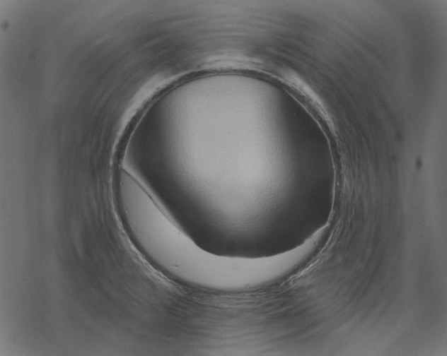 X0000068321376200605051545