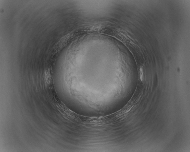 X0000068321395200605051544
