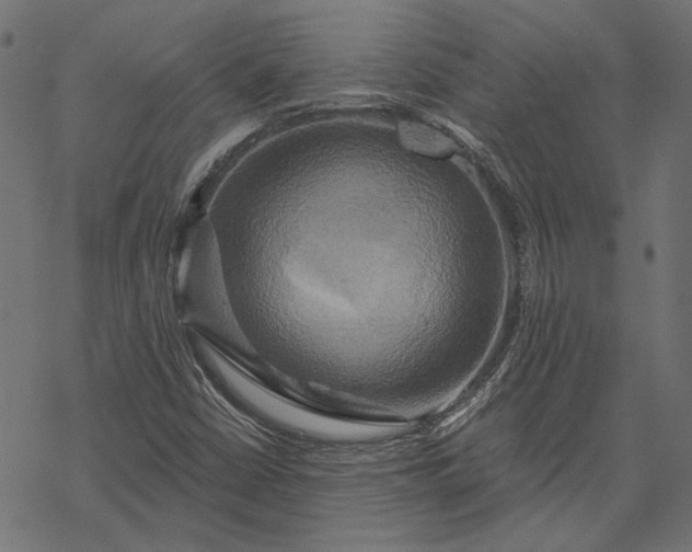 X0000068321402200605051544
