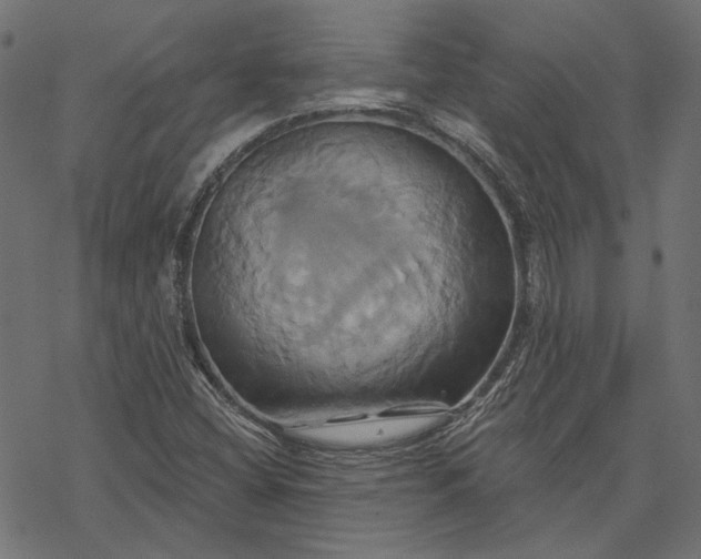 X0000068321404200605051544