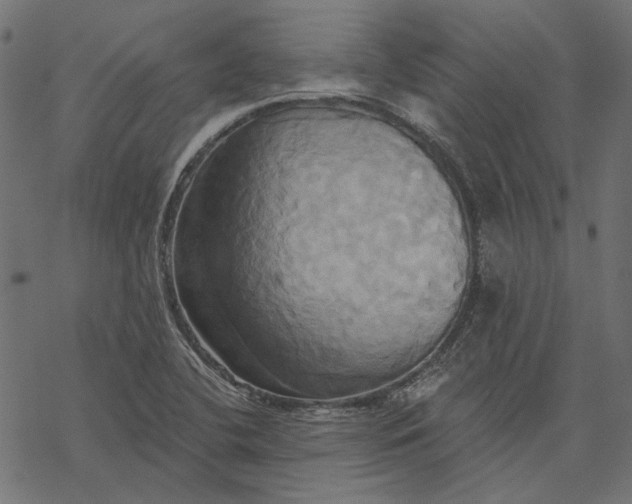 X0000068321412200605051544
