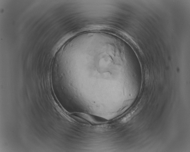 X0000068321417200605051544