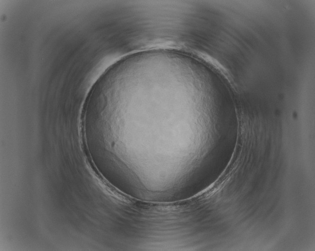 X0000068321423200605051545