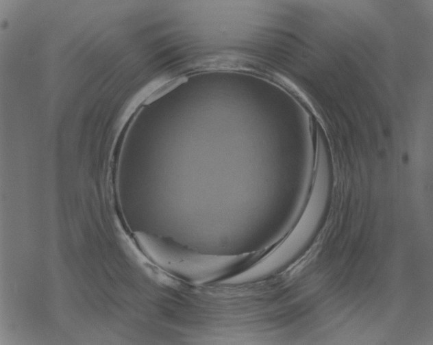 X0000068321434200605051545