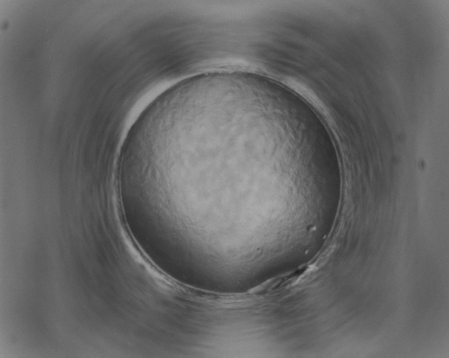 X0000068321440200605051545