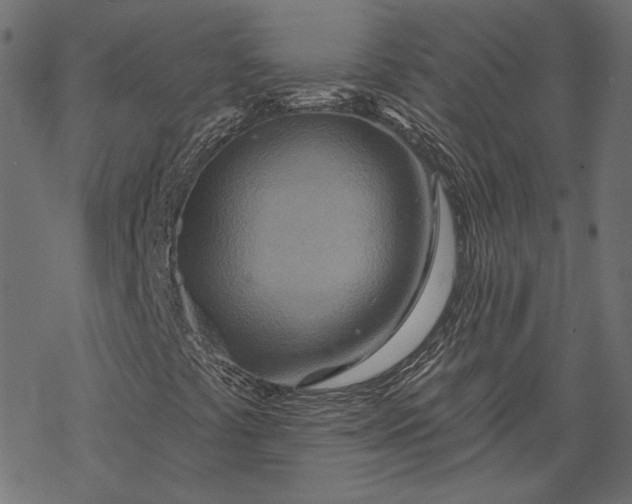 X0000068321441200605051544