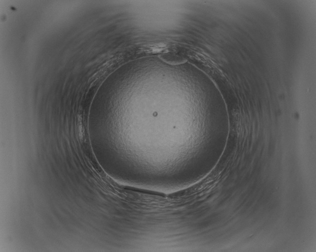 X0000068321442200605051544