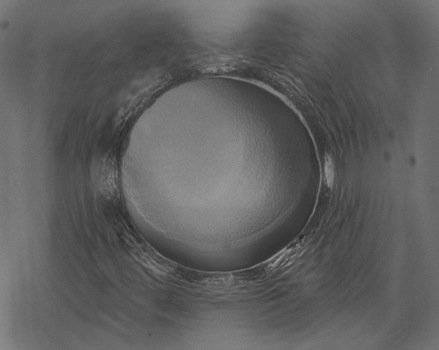 X0000068321444200605051544