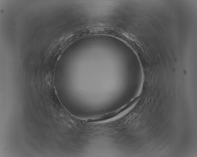 X0000068321445200605051544