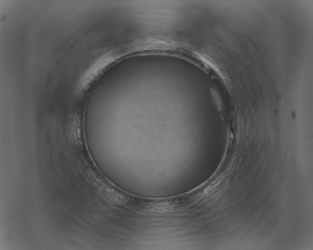 X0000068321455200605051544