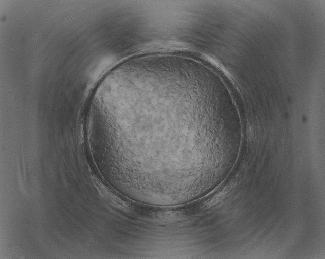 X0000068321459200605051544