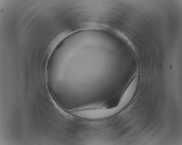 X0000068321479200605051543