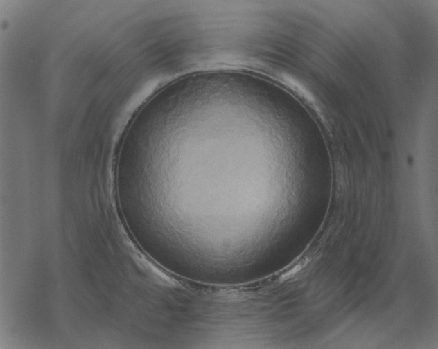 X0000068321480200605051543