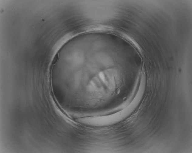 X0000068321483200605051543