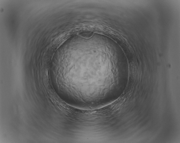 X0000068321489200605051543