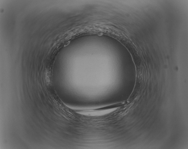 X0000068321490200605051543