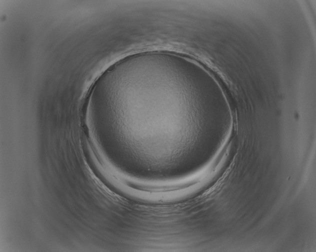 X0000068321500200605051543