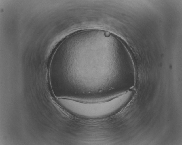 X0000068321507200605051543