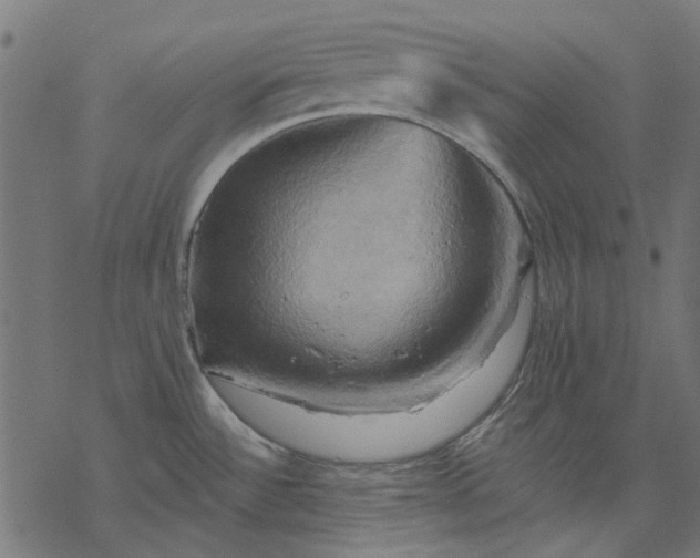 X0000068321532200605051543