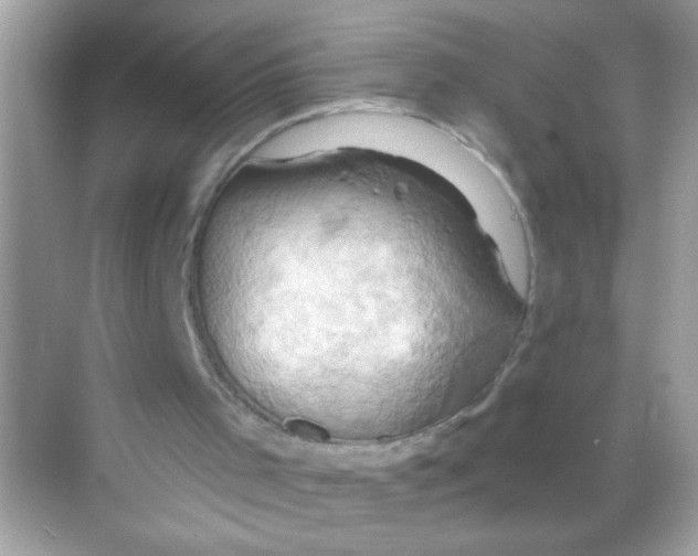 X0000068320001200605122108