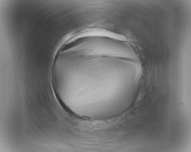 X0000068320003200605122108