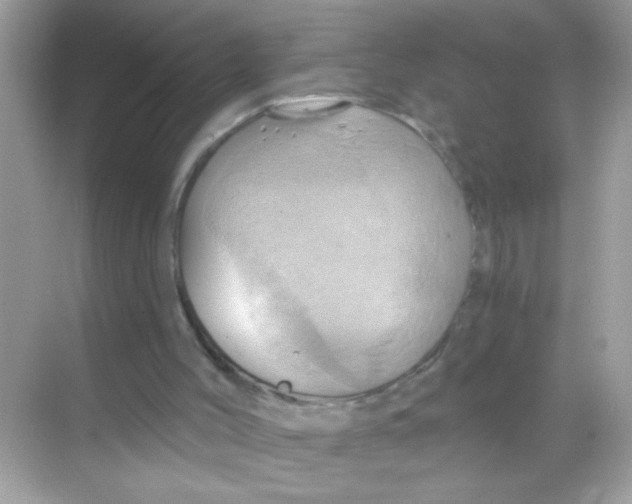 X0000068320004200605122108