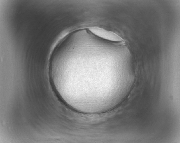 X0000068320006200605122108