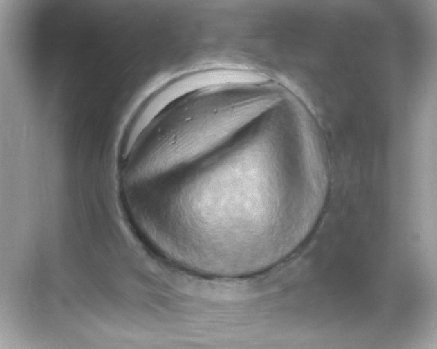 X0000068320008200605122108