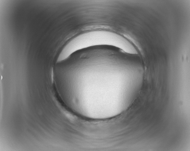 X0000068320013200605122108