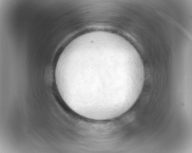 X0000068320016200605122108