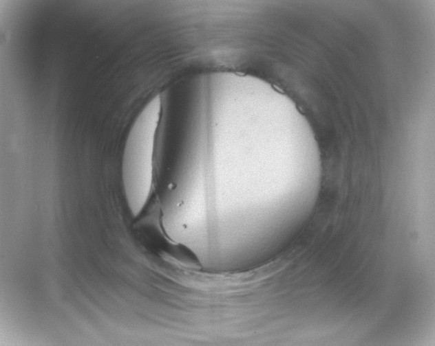 X0000068320027200605122108