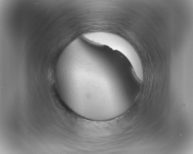 X0000068320031200605122108