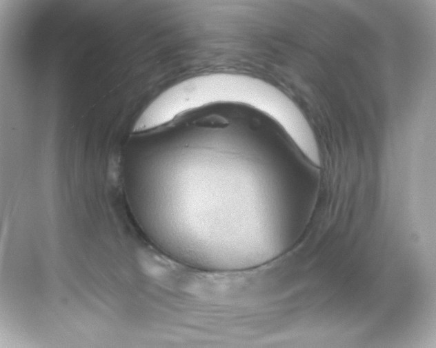 X0000068320033200605122108