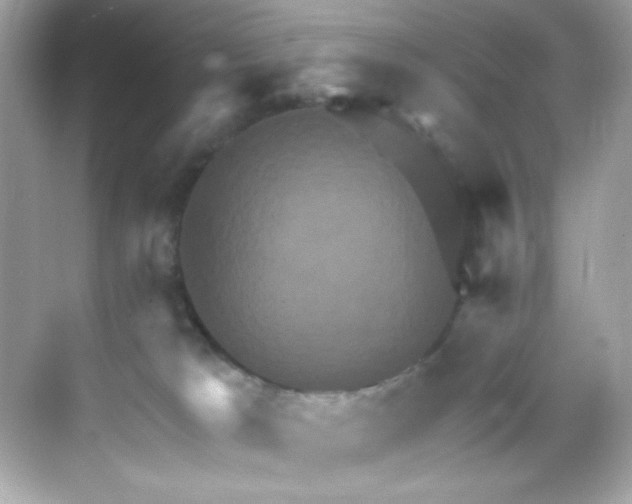 X0000068320037200605122108