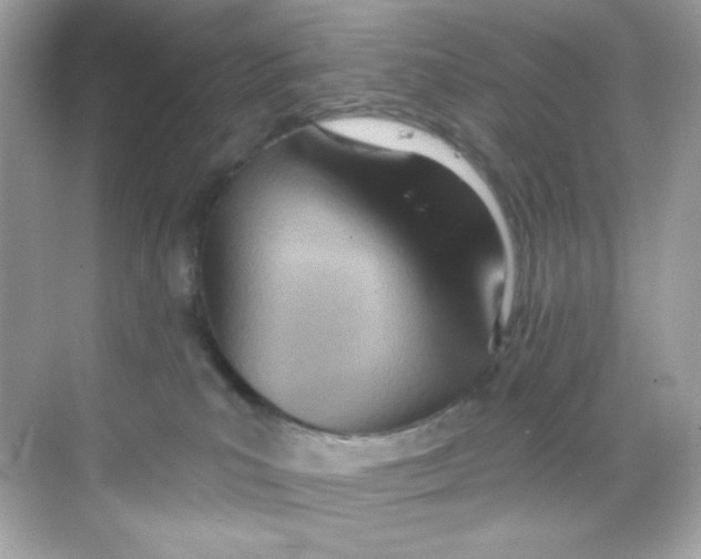X0000068320039200605122108