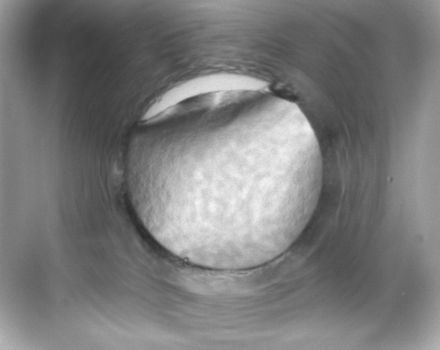 X0000068320040200605122108