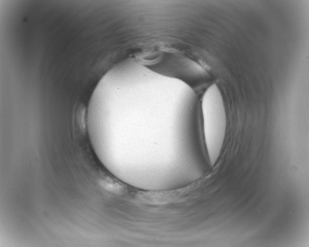 X0000068320041200605122108