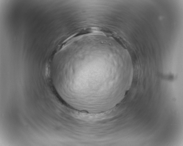 X0000068320043200605122108