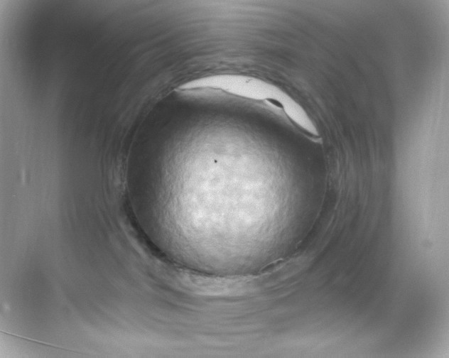X0000068320044200605122108