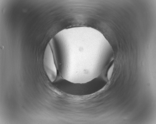 X0000068320045200605122108