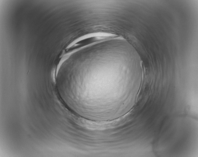 X0000068320047200605122108